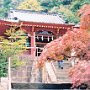 Shimizu, Japan - Kuno-zan Toshogu Shrine